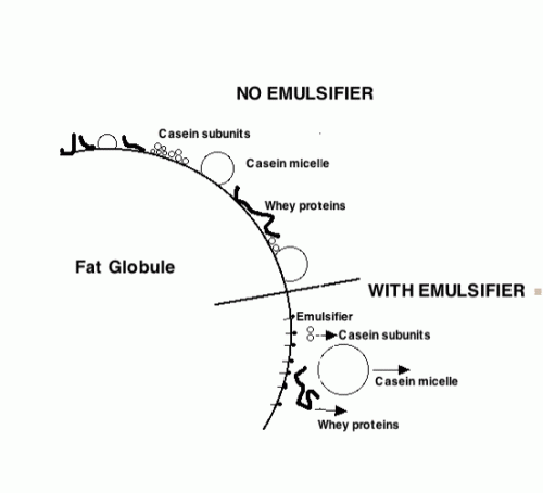 Stabilizers – Ice Cream Technology e-Book