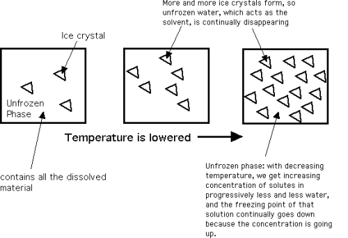 Ice Crystal Lattice Structure Model