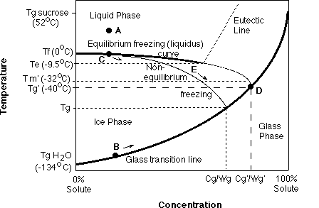 Supplemented state diagram including an equilibrium phase diagram and the kinetically-derived state diagram.