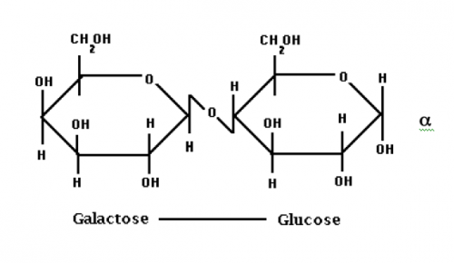 glucose and lactose