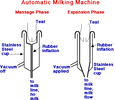 Milking Machine Inflations