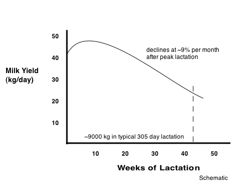 Lactation Chart Cow