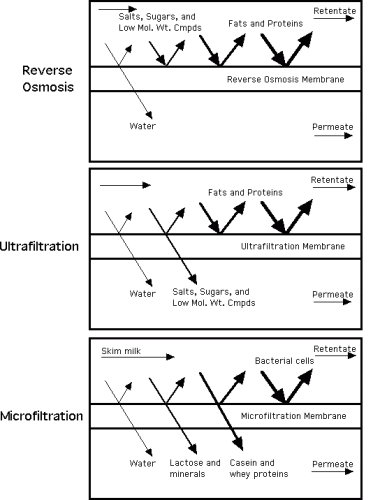 Whey Processing Flow Chart