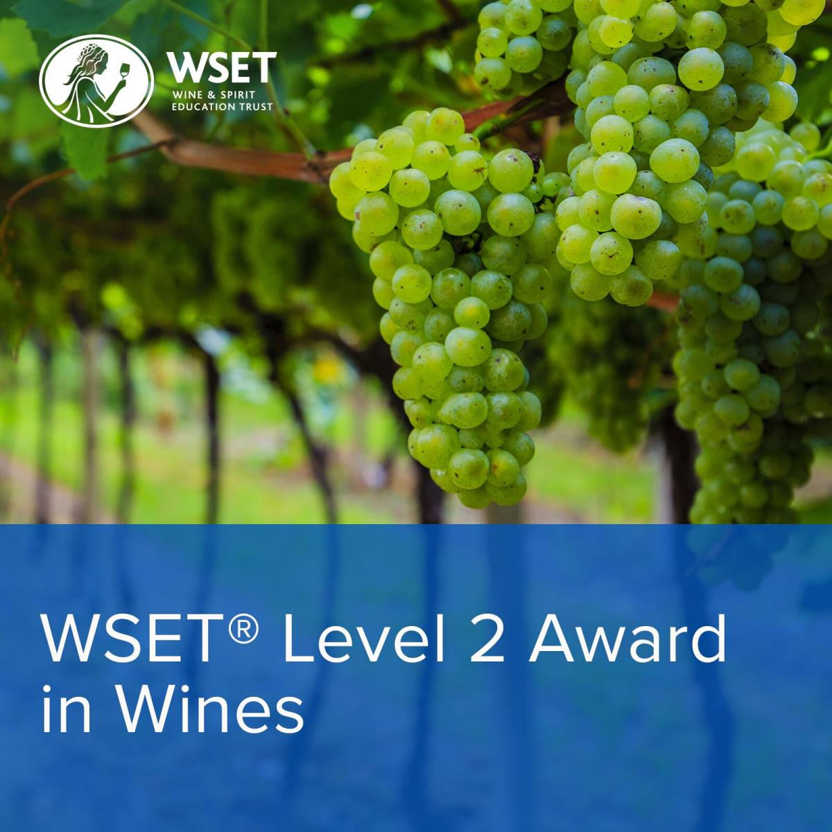 WSET Level 2 Image