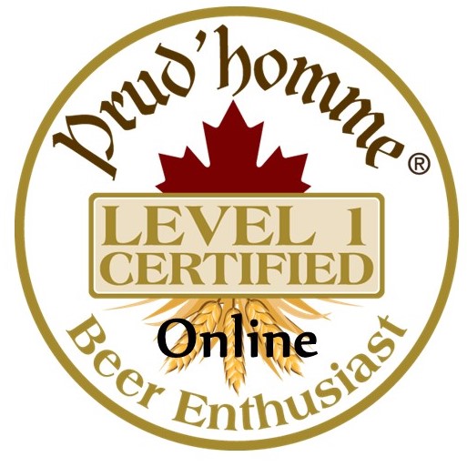 Level 1 Logo