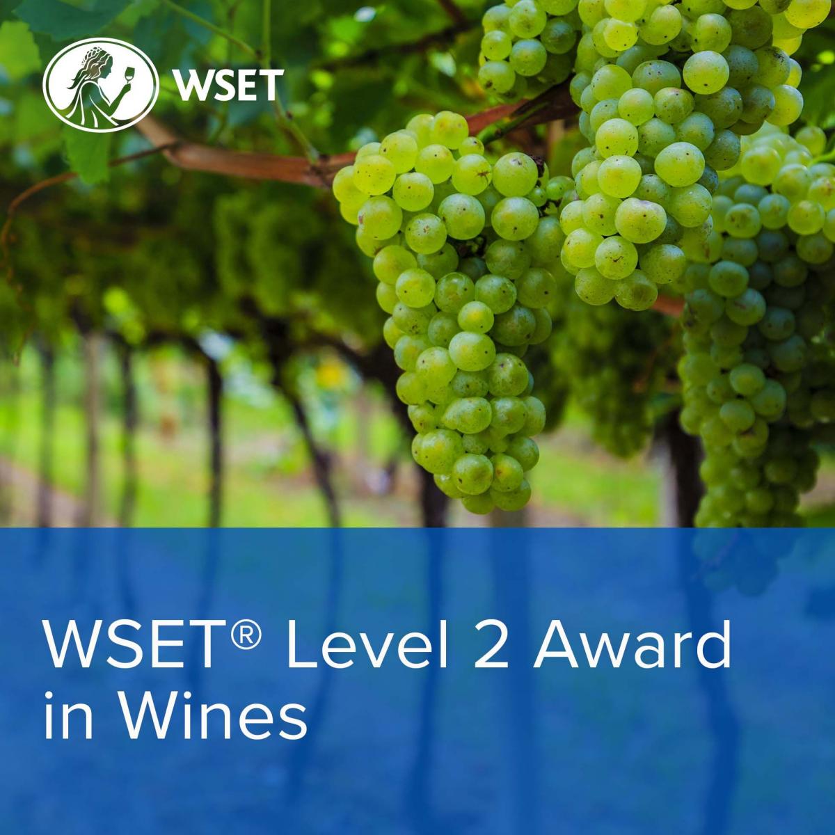 WSET Leve 2 Logo