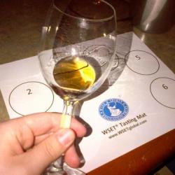 Photo of a wine glass with WSET mat