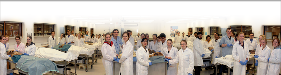 A photograph of students in the Human Anatomy lab.