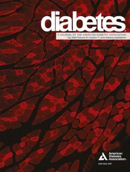 An image of the current issue of the Journal Diabetes