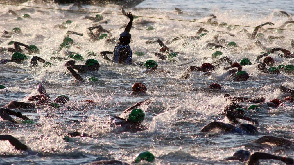 A photograph of a swimmers swimming in a triathlon.