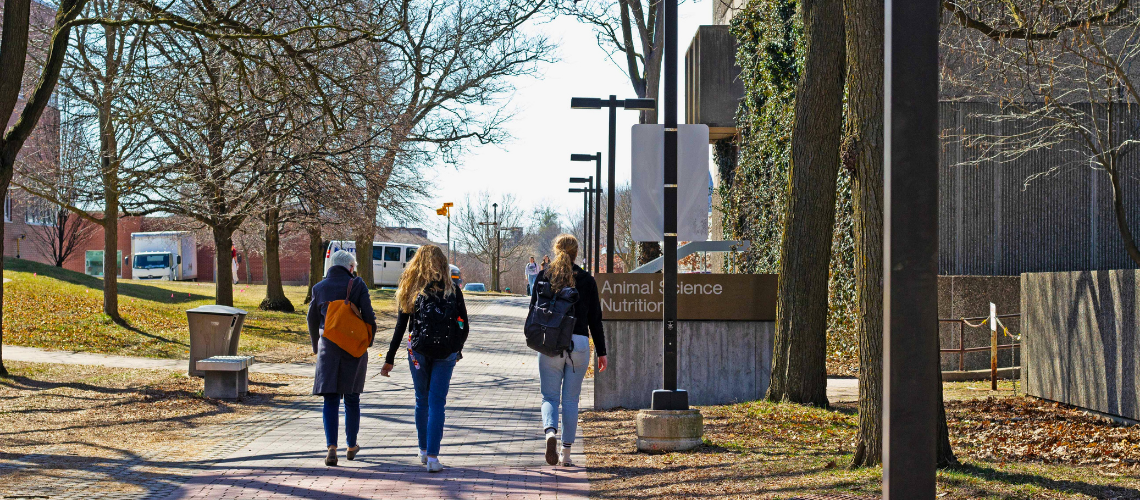 Students walking near ANNU