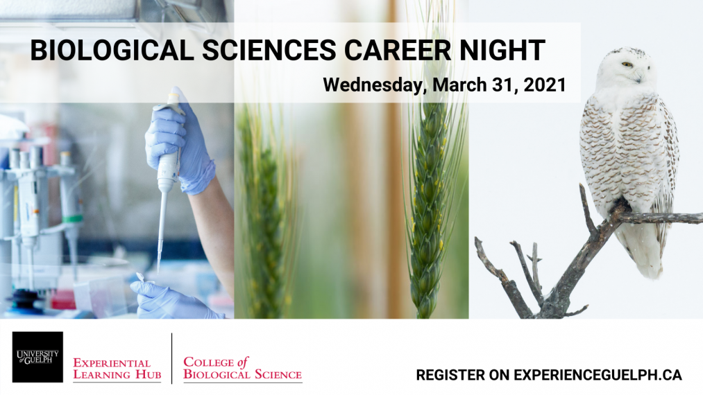 Biological Sciences Career Night Poster