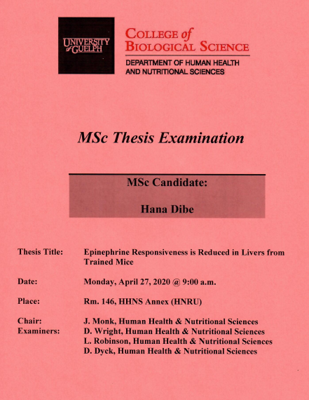 Hana Dibe MSc Thesis Examination Poster