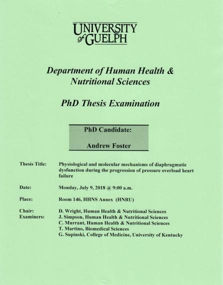 Phd dissertation human resource management