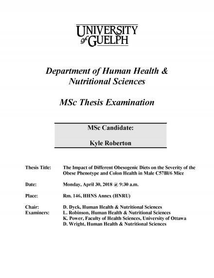 Master thesis format image