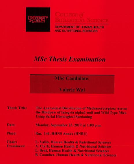 Poster: "MSc Thesis Examination Valerie Wai, MSc Candidate The Anatomical Distribution of Mechanoreceptors Across the Hindpaw of Integrin alpha1-null & Wild Type Mice Using Serial Histological Sectioning Monday, September 23, 2019, 1:00pm Rm 146, HHNS Annex (HNRU) L. Vallis, Human Health & Nutritional Sciences A. Clark, Human Health & Nutritional Sciences L. Bent, Human Health & Nutritional Sciences B. Coomber, Human Health & Nutritional Sciences University of Guelph College of Biological Science"