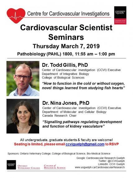 Poster: "Centre for Cardiovascular Investigations Cardiovascular Scientist Seminars Thurs, March 7 Pathobiology (PAHL) 1800, 11:55am-1pm Dr. Todd Gillis, PhD CCVI Executive Department of Integrative Biology CBS "How to Function in the cold or without oxygen, novel things learned from studying fish hearts" Dr. Nina Jones, PhD CCVI Executive Department of Molecular & Cellular Biology "Signalling pathways regulating development and function of kidney vasculature""