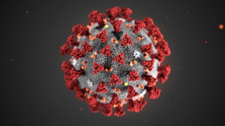 An image of the COVID-19 Virus