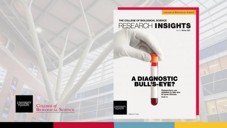 An image of Research Insights Magazine