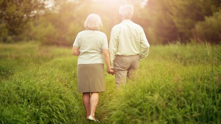 A photograph of an elderly couple walking through long grass towards trees at sunset