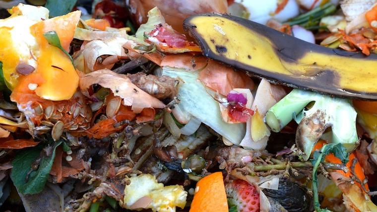 A photograph of rotting food in a compost pile.