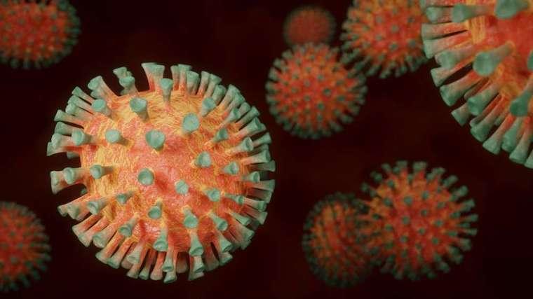 An image of the coronavirus