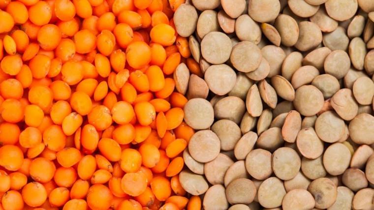 A photograph of lentils