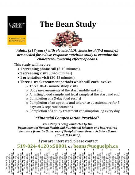 Study poster for The Bean Study, contact beans@uoguelph.ca