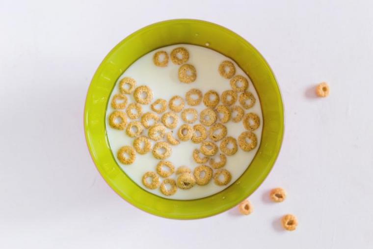 Bowl of breakfast cereal with milk.