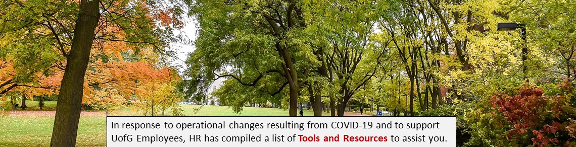 COVID-19 Tools and Resources for UofG Employees