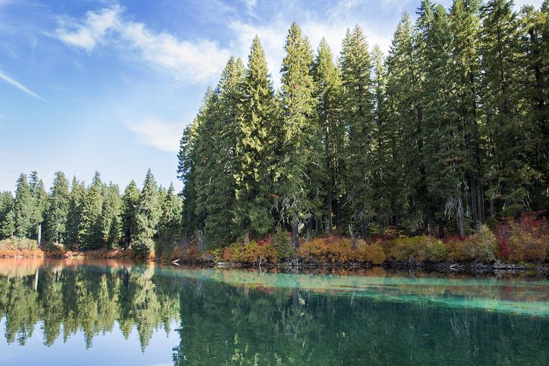 Fall color Clear Lake, Oregon (Linn County) by Bonnie Moreland