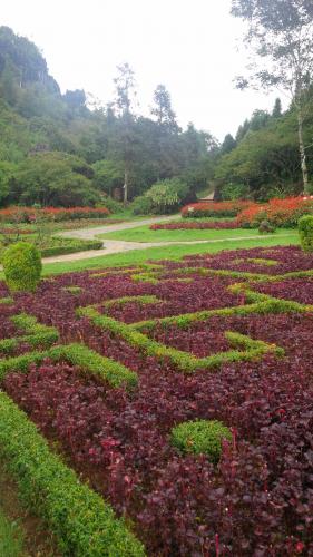 Sapa - Dragon Mountain garden