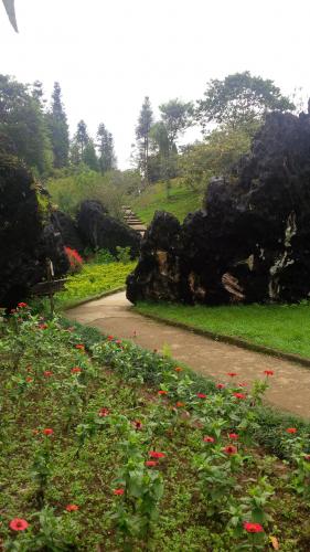 Sapa - Dragon Mountain path