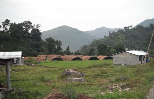 View from a farm