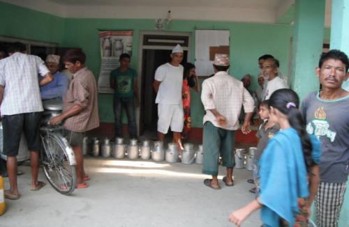 Farmers waiting in long queue line to have their milk analyzed and weighed