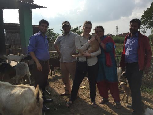 Kate Jenkins with HICAST colleagues on experimental farm