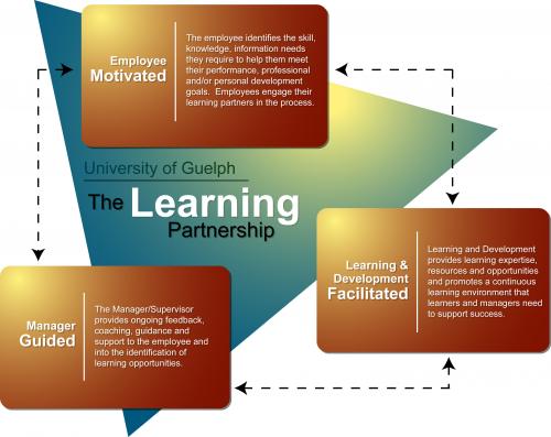 learning partnership model describing role of employee, manager and learning and development