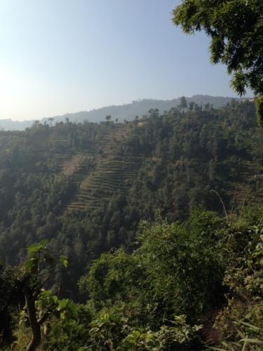 View of terrace farms on mountainside