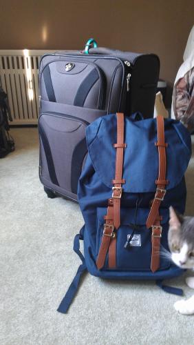 One large grey suitcase and a blue backpack - Cat head peaking in from the right of the photo