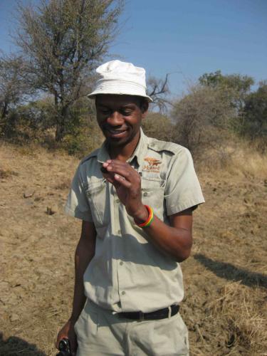 Safari guide smells a piece of dirt