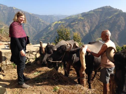 woman with a farmer and livestock on mountainside farm