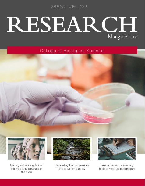 CBS Research Insights Volume 1