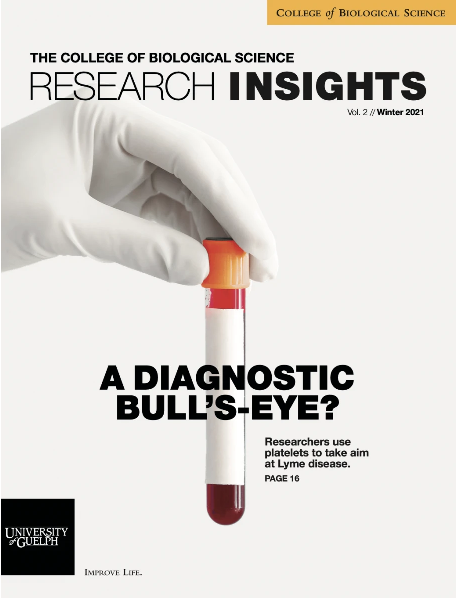 CBS Research Insights Volume 2
