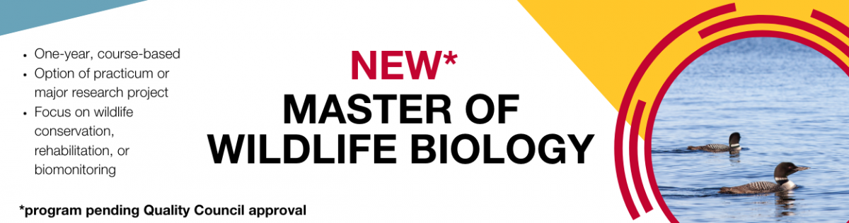 Master of Wildlife Biology Program banner with duck photo