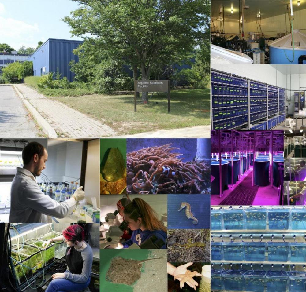 aqualab collage