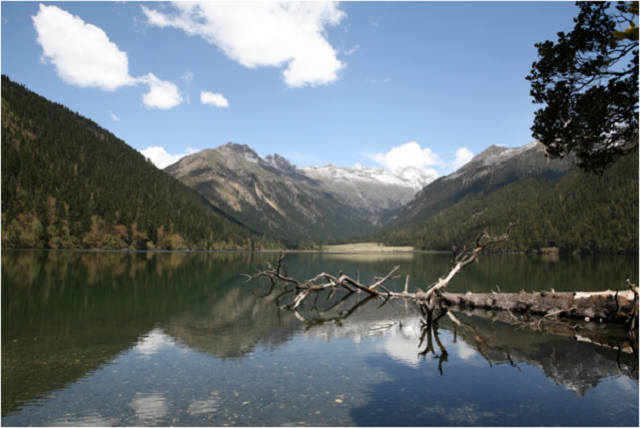 Photo of study site in Tibet