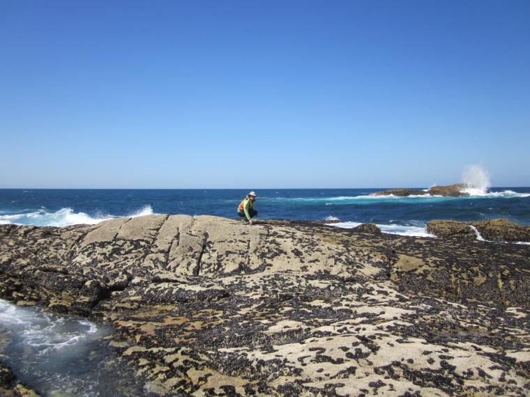 Prof. Liz Boulding doing field work on the shores of Northern Spain