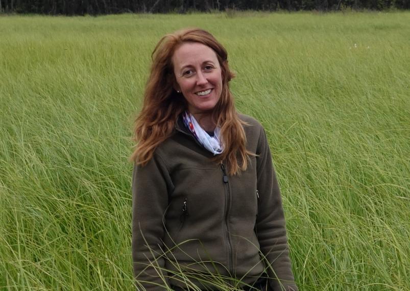 Merritt Turetsky at the Alaska Peatland Experiment