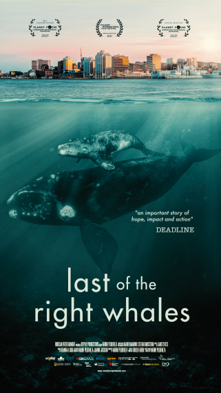 Movie Poster Last of the Right Whales