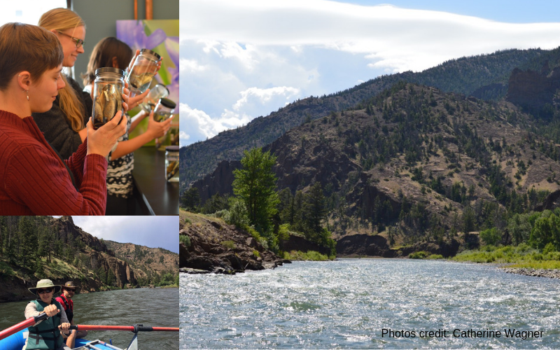 Photos (clockwise from top left): Dr. Mandeville and other researchers in Dr. Catherine Wagner's lab at the University of Wyoming; North Fork Shoshone River in Shoshone National Forest; Dr. Mandeville and researcher paddling on the North Fork Shoshone River. All photos taken during Dr. Mandeville's PhD at the University of Wyoming.